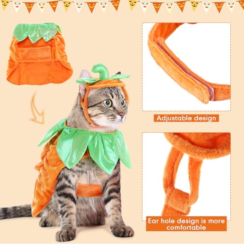 2 Sets Pet Pumpkin Costume Cat Halloween Cloak Hat Set B815594