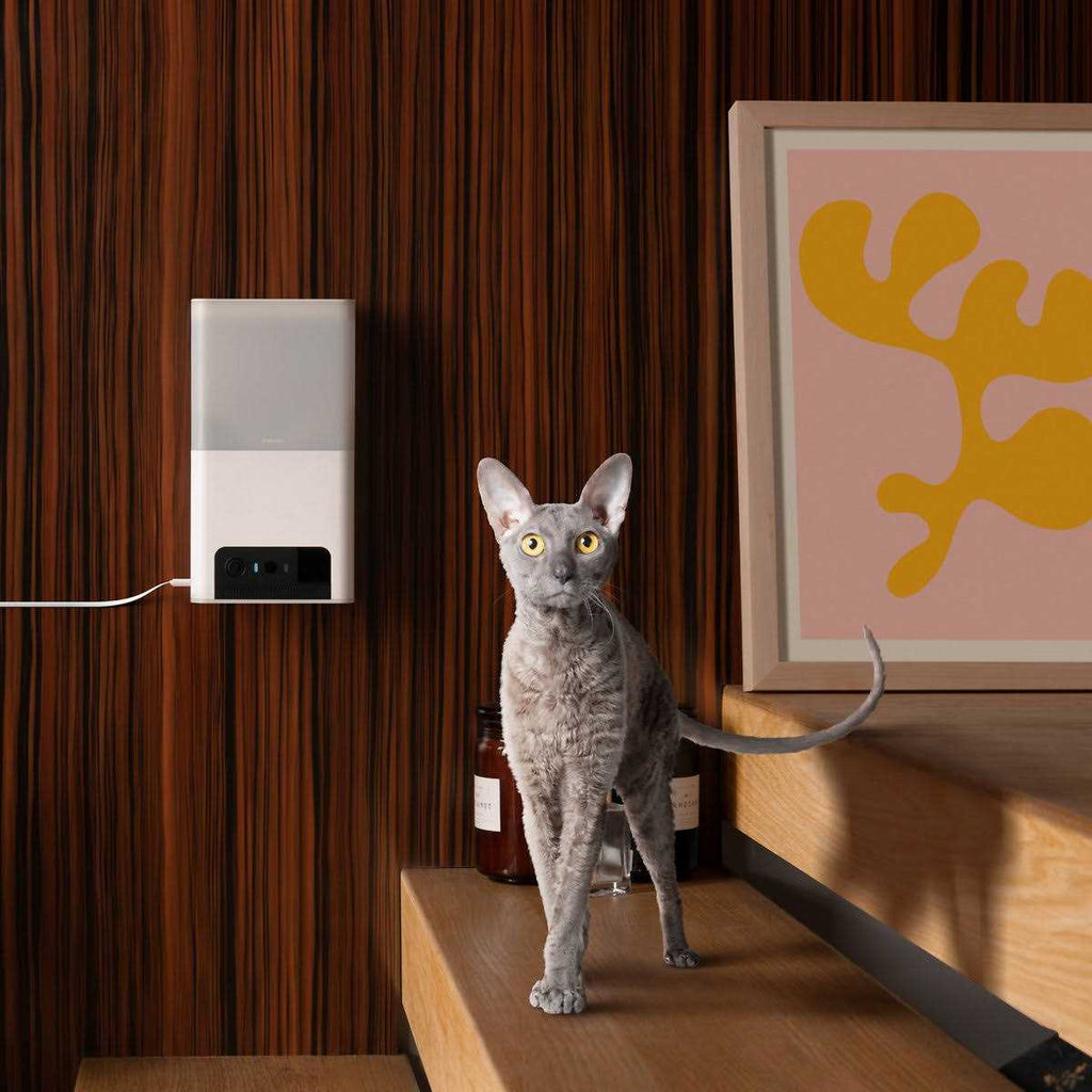 WiFi Pet Monitoring Camera with Treat Dispenser V640
