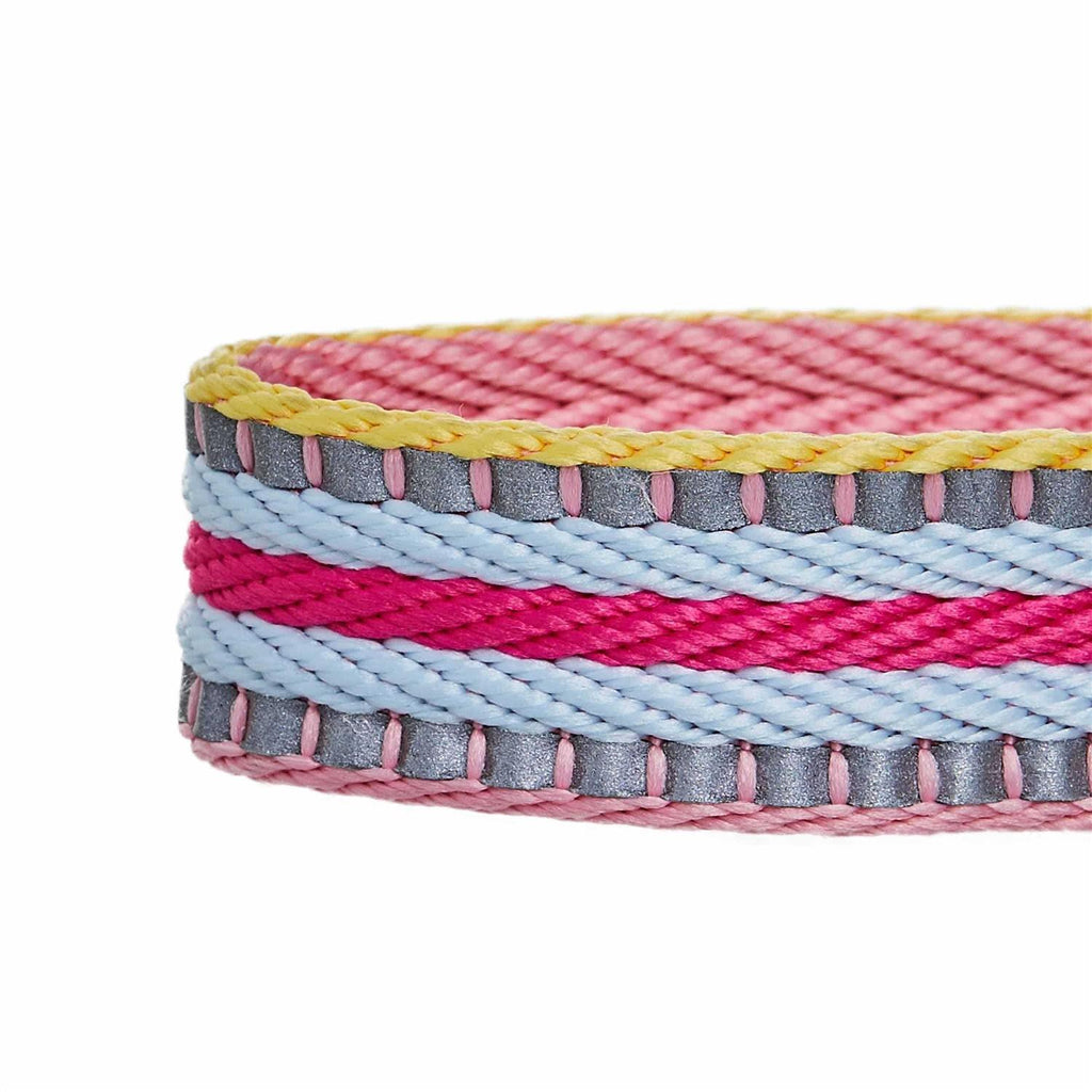 Reflective Dog Collar R804445