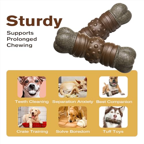 Large Durable Squeaky Dog Chew Toy L925
