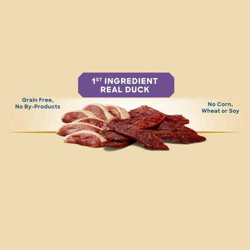 Dog Treats I987363