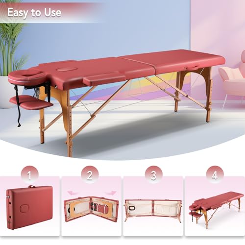 Portable Massage Table 2 Fold with Bag Black E1969