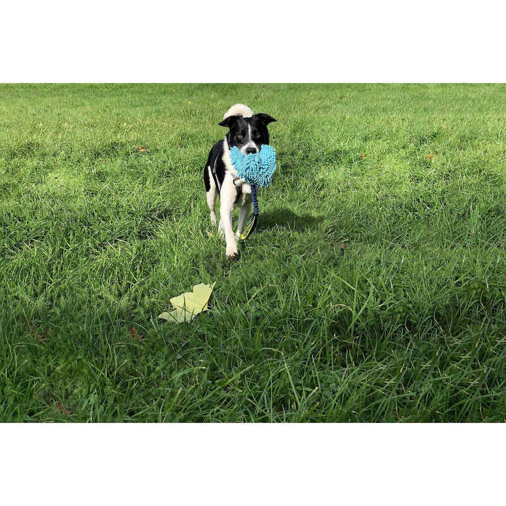 Dog Toy D397738