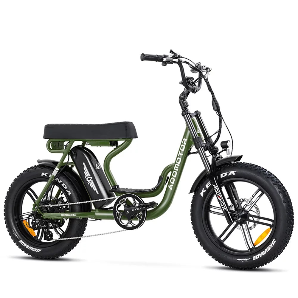 Fat Tire Step Through 750W 48V 20Ah Electric Bike G22350