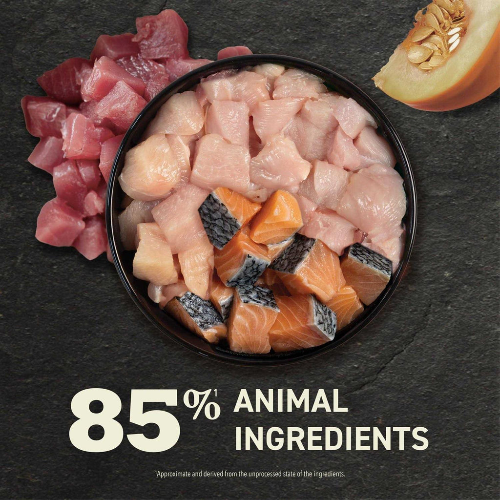 Wet Cat Food Variety Pack J278