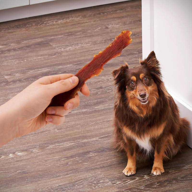 Dog Treats I987363