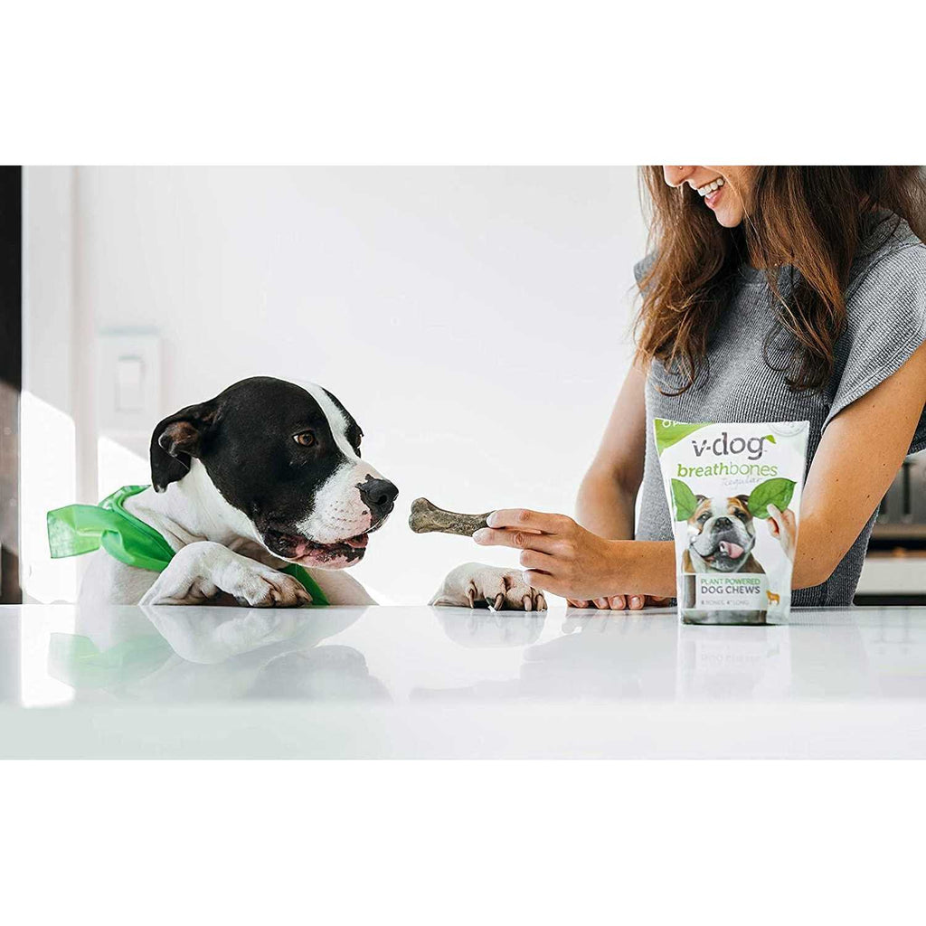 Vegan Dog Treats Q4711