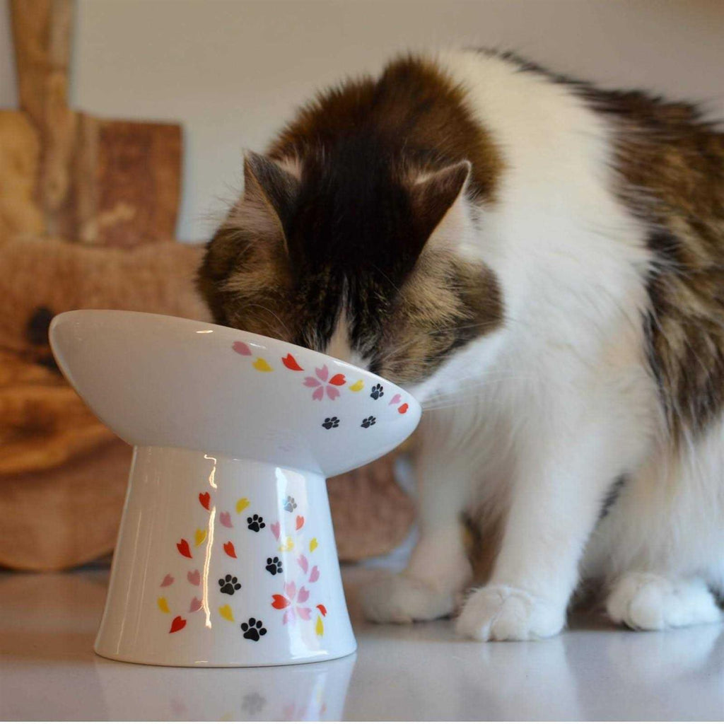 Extra Wide Raised Cat Food Bowl D224240