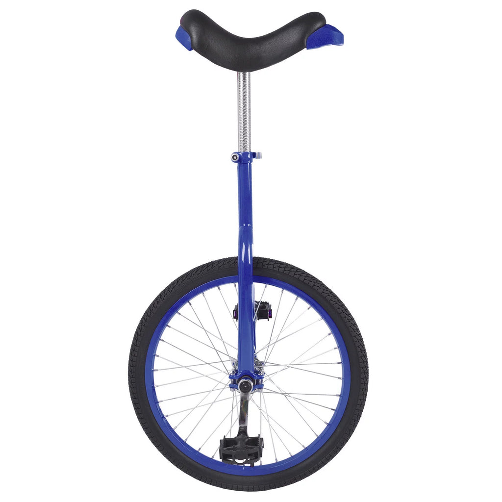 20 inch Unicycle with Alloy Rim, Blue Q6799