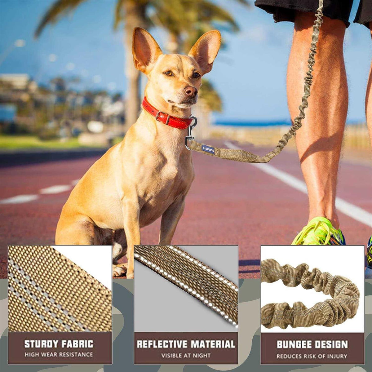 Heavy Duty Bungee Dog Leash W872792