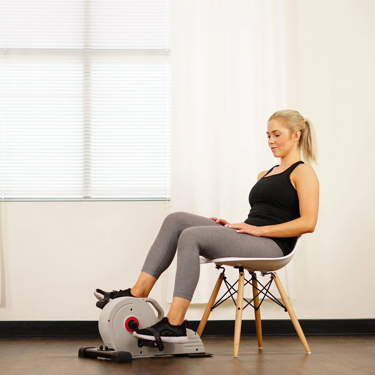 Magnetic Mini Exercise Bike L610