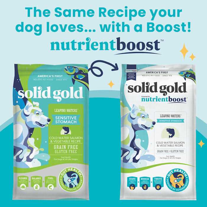 Dry Dog Food S42827