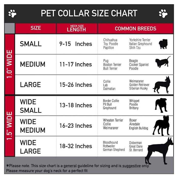 Dog Collar Seatbelt Buckle D64620