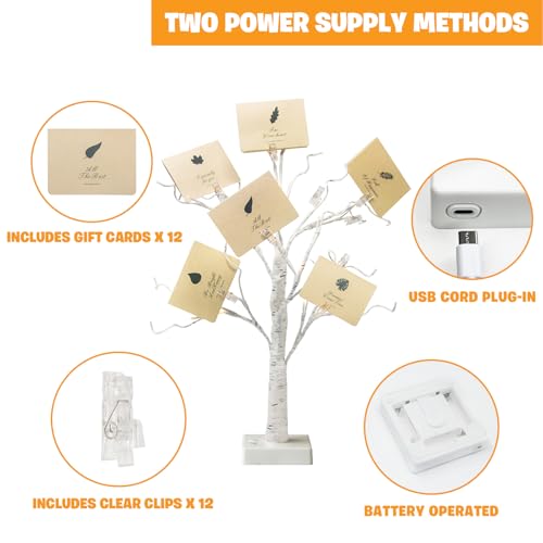 Lighted Birch Tree Christmas Decorations, 2Pack 24 LED Artificial White Trees with Lights S76311