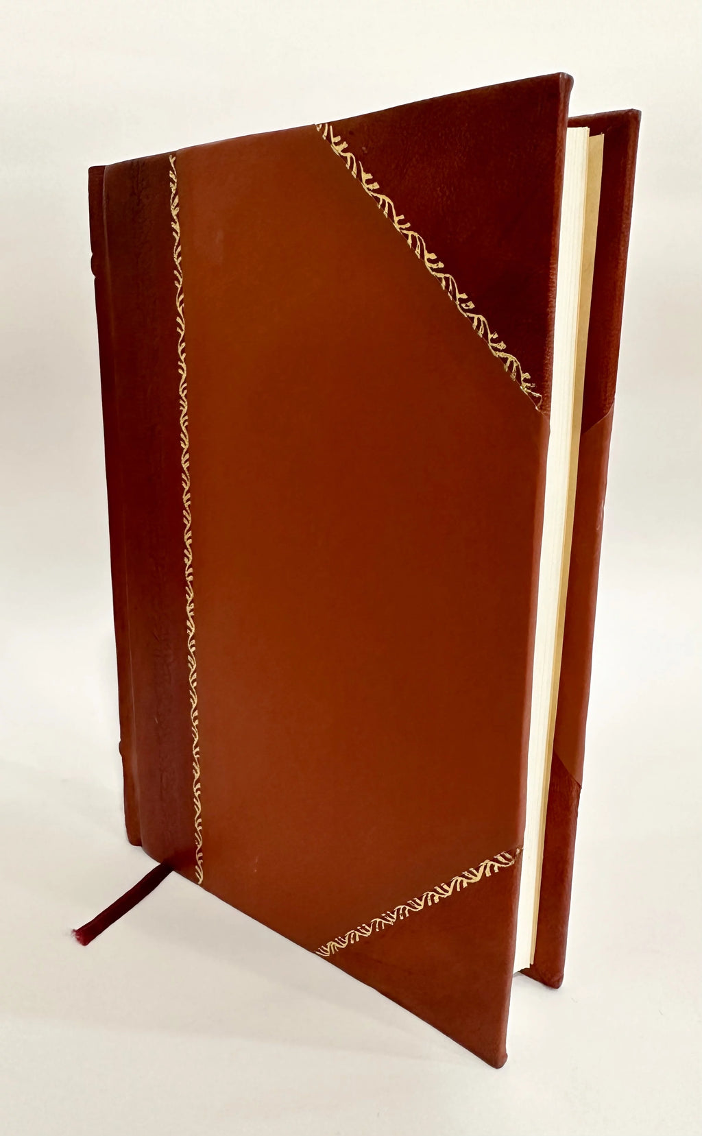 Horse Diseases and Accidents Treatise Leather Bound E2200