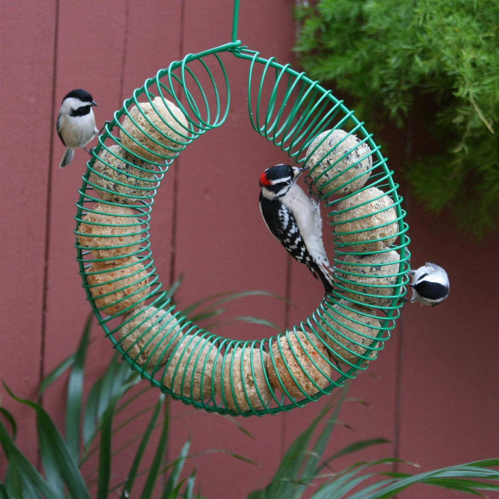 Suet Balls L974