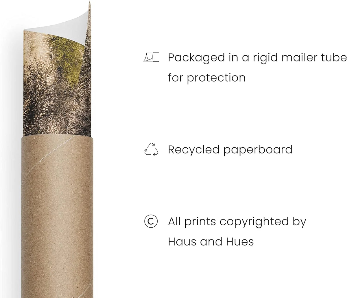 Set of 3 Landscape Wall Art, 16x20 Unframed N11380