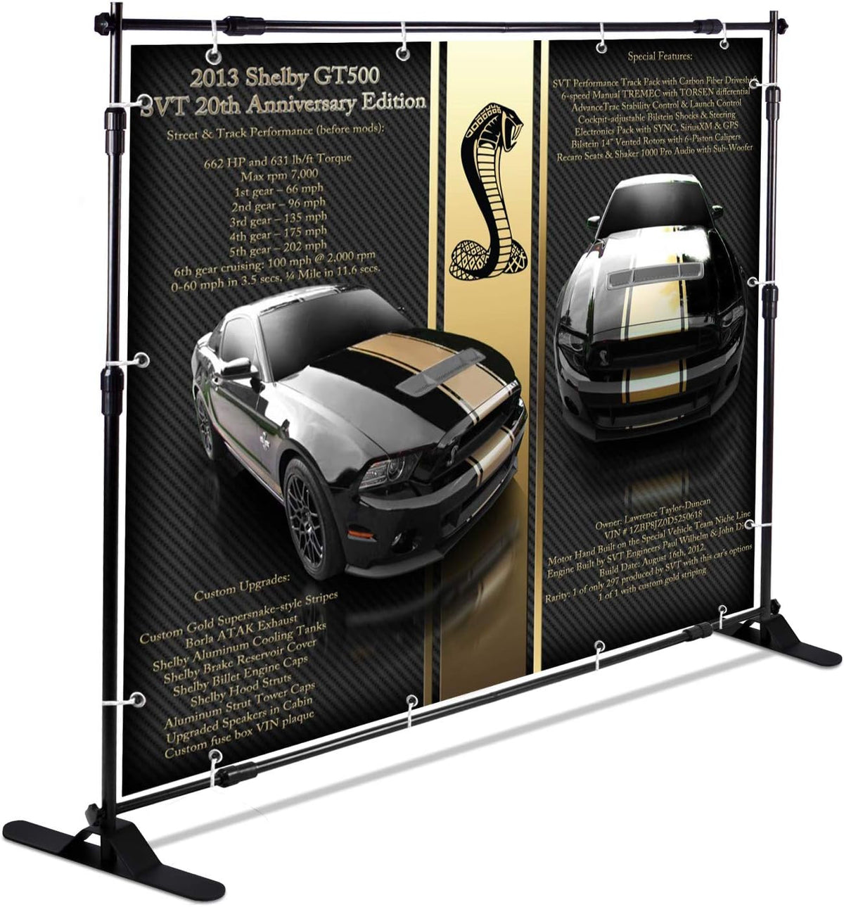 10 x 8 ft Heavy Duty Adjustable Backdrop Banner Stand Kit with Carrying Bag W655