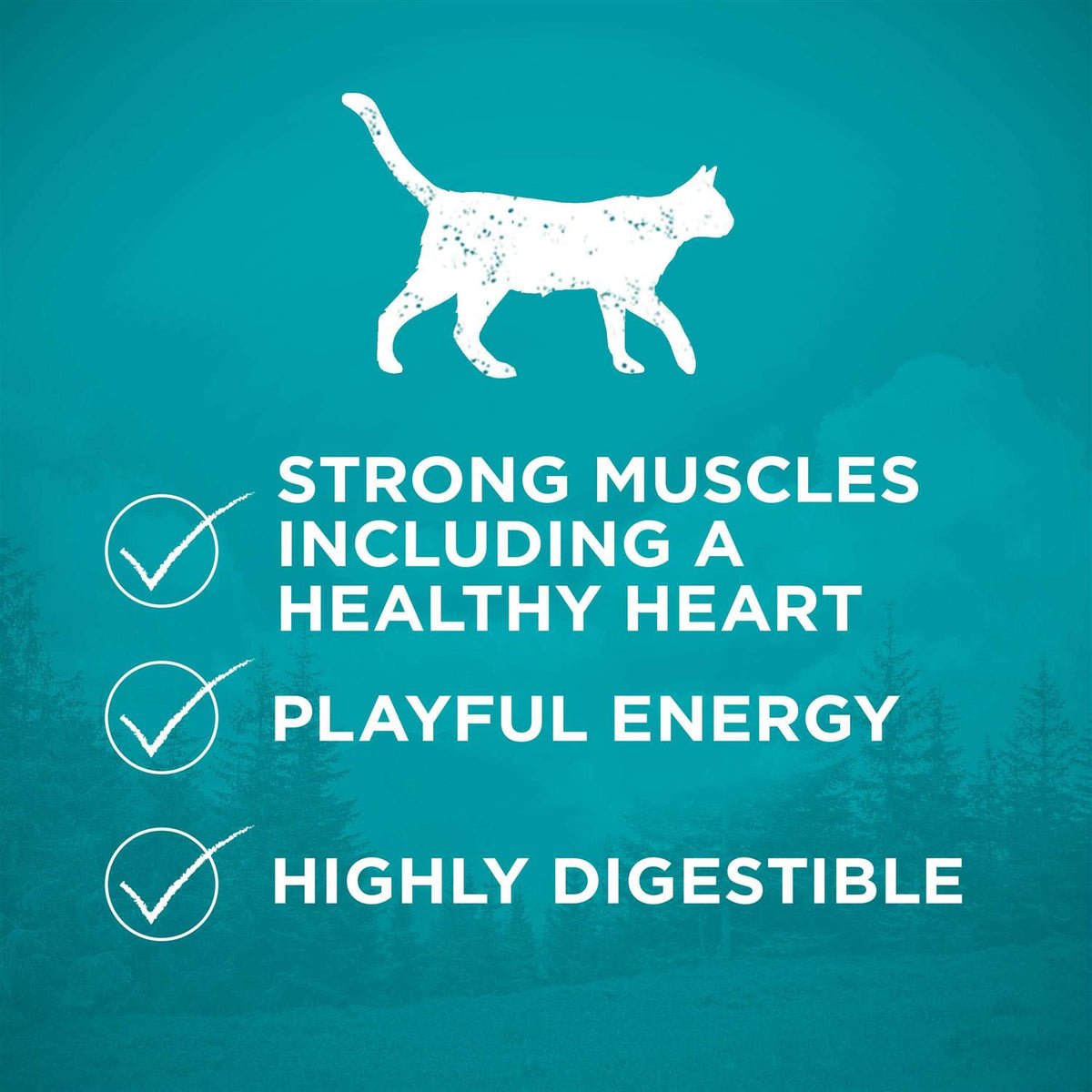 High Protein Grain Free Dry Cat Food Y4681