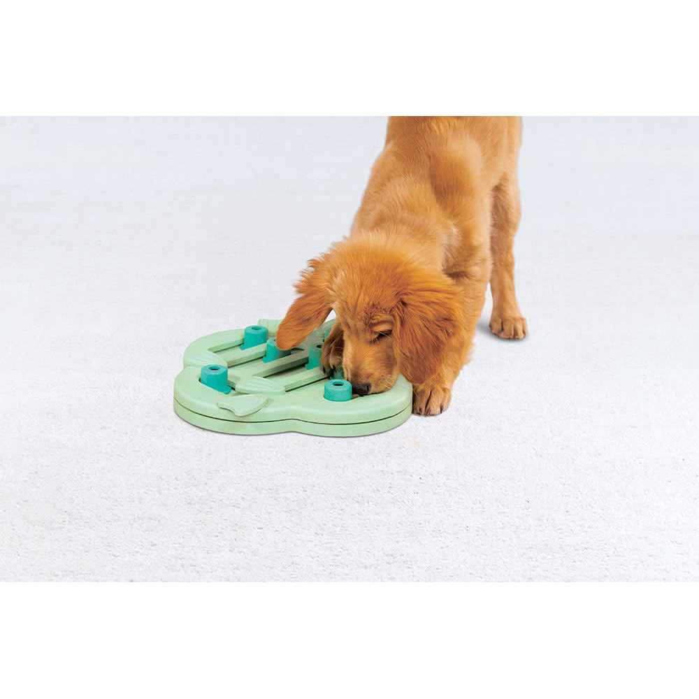 Interactive Treat Puzzle Dog Toy B3274