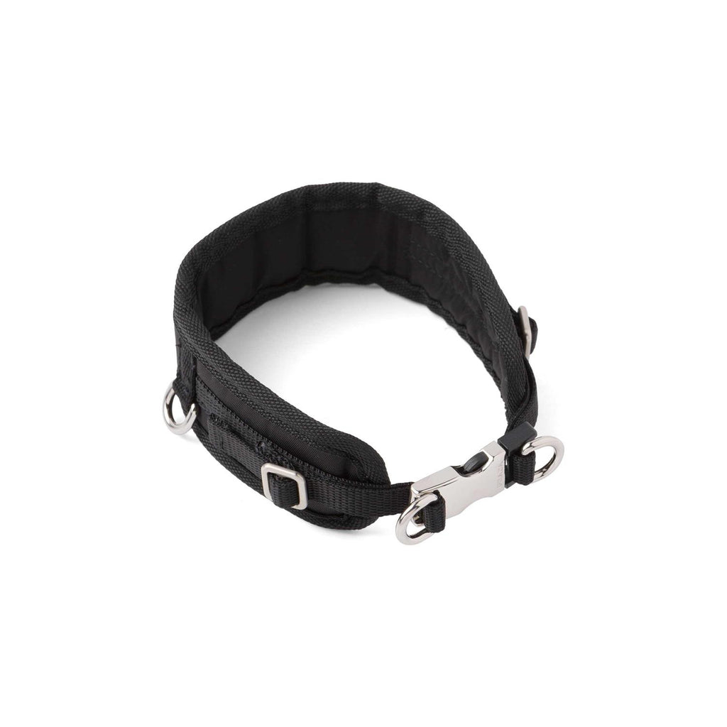 Pet Collar N213