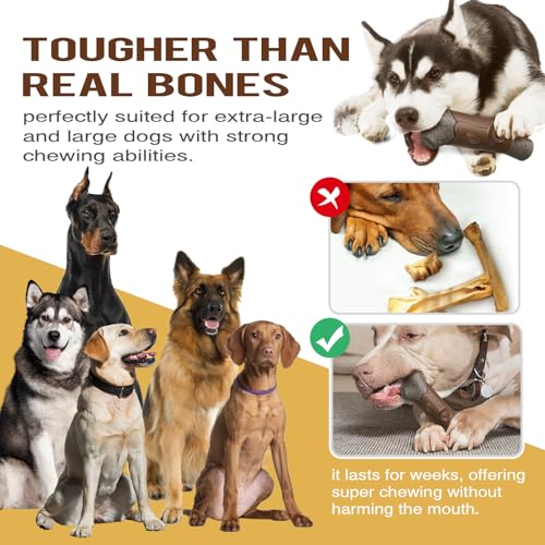 Large Durable Squeaky Dog Chew Toy L925