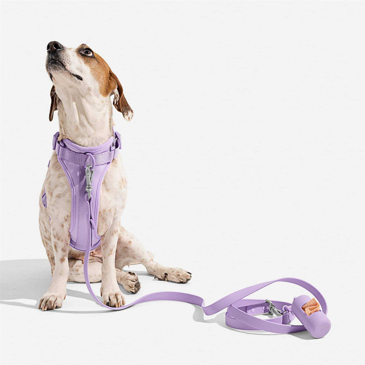 Dog Harness Z1867