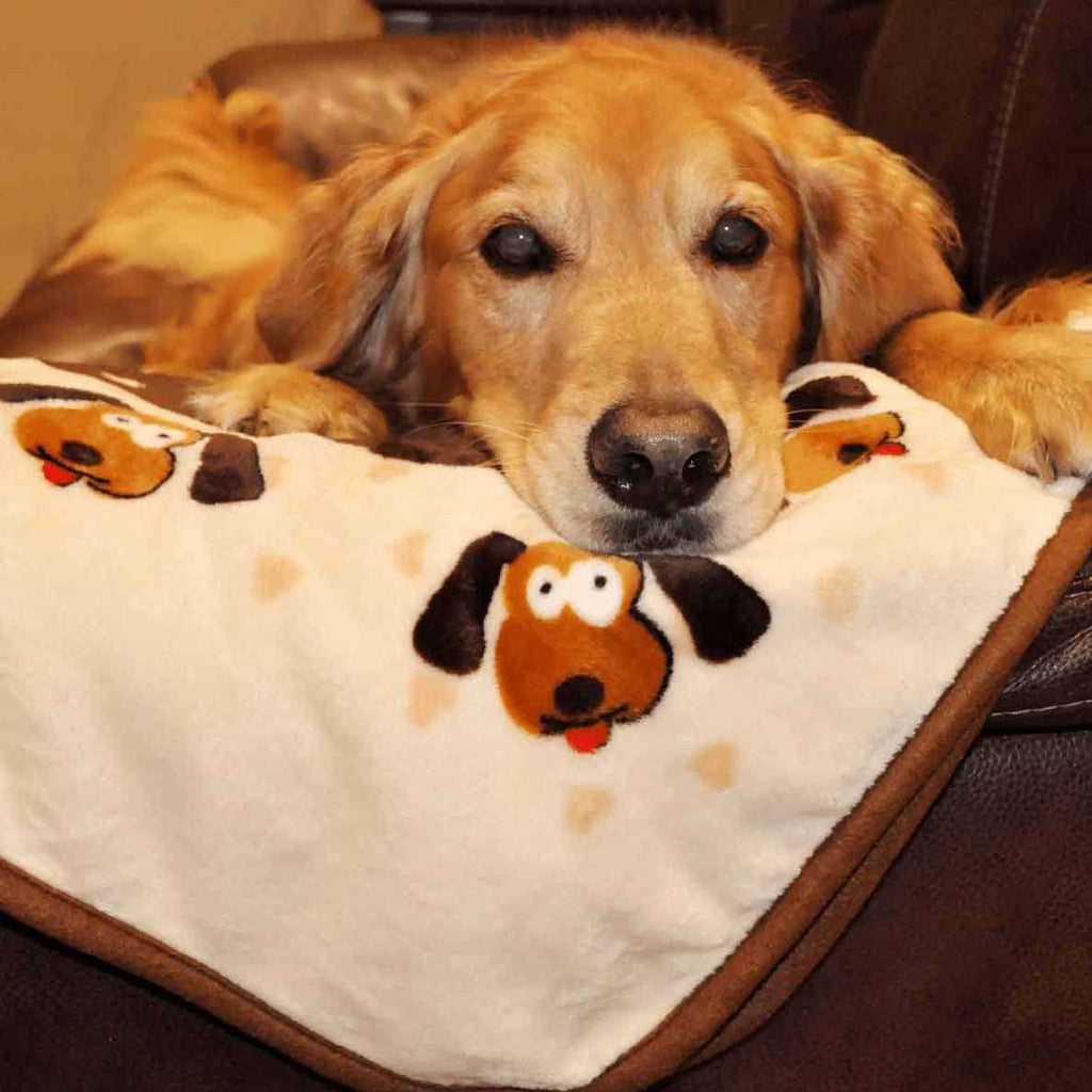 Pets Blanket B6083