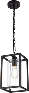 Clear Glass Shade Black Metal Pendant Lighting R40800
