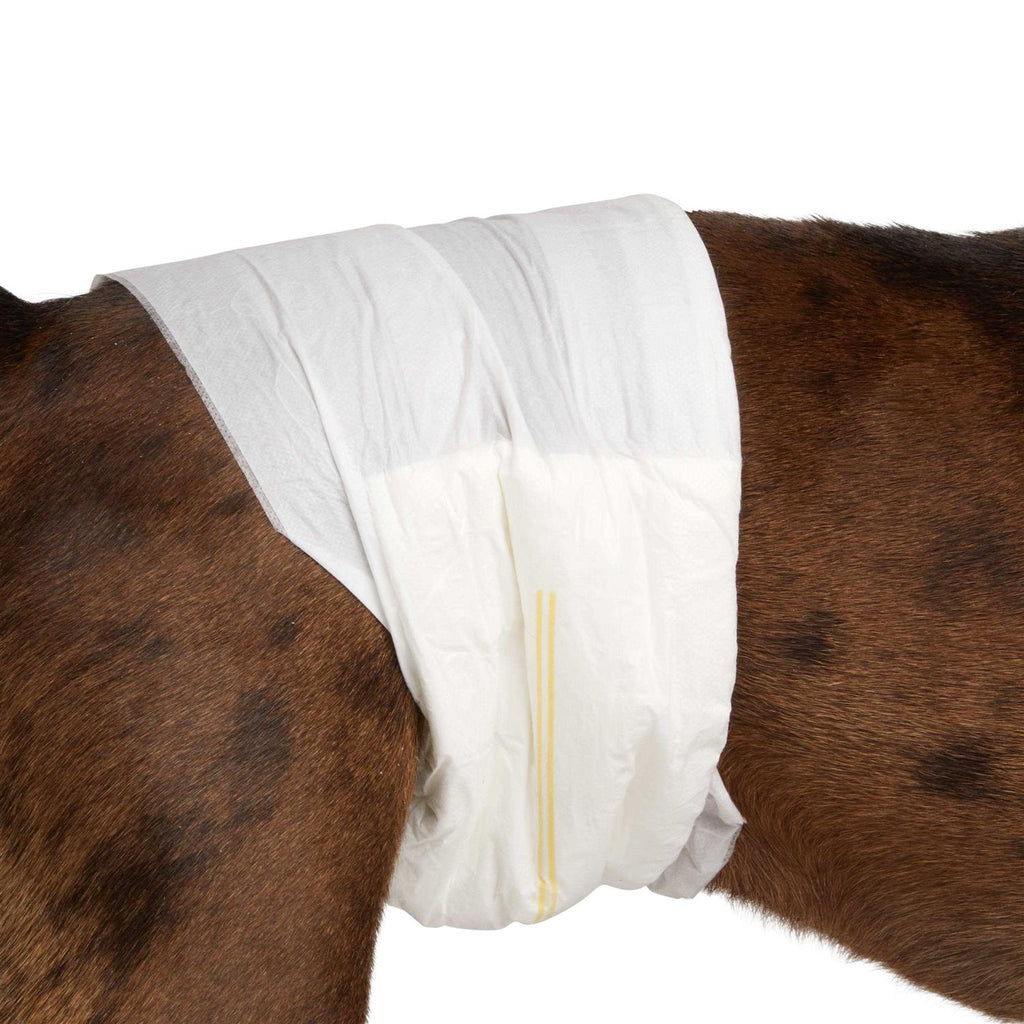 Disposable Wrap for Male Dogs Z43354