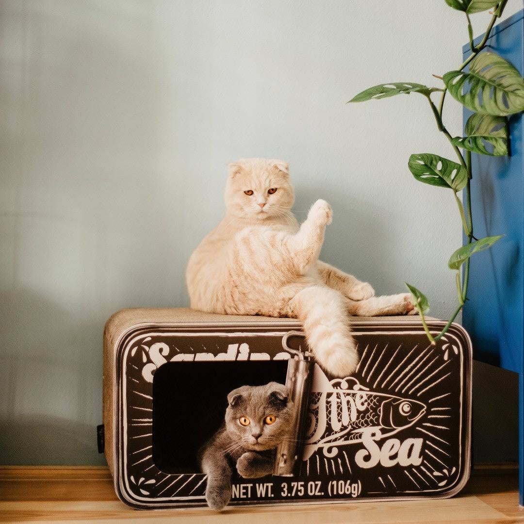 Cardboard Cat Scratcher R3094