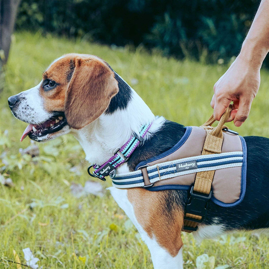 Reflective Dog Collar R804445