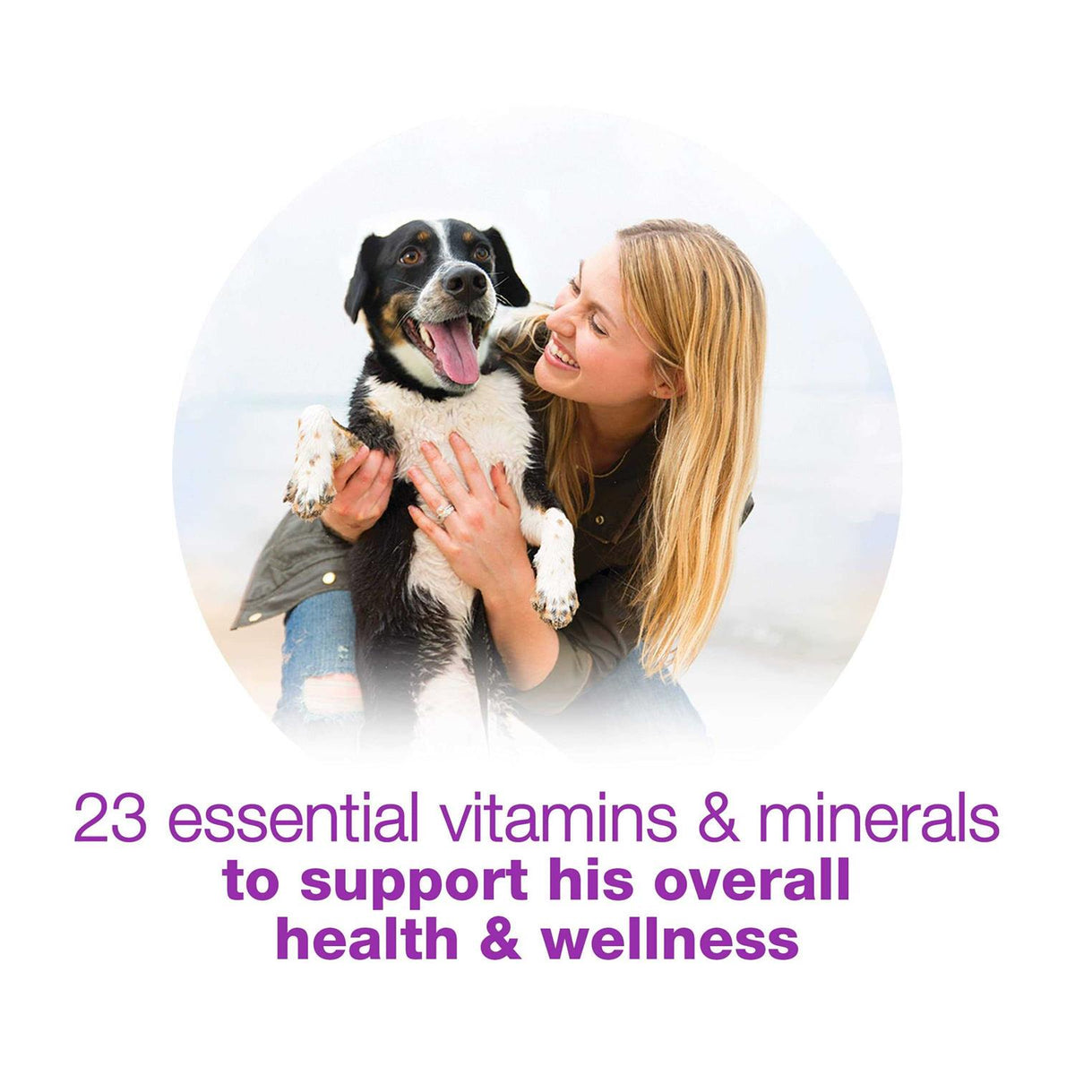 Wet Dog Food S26346