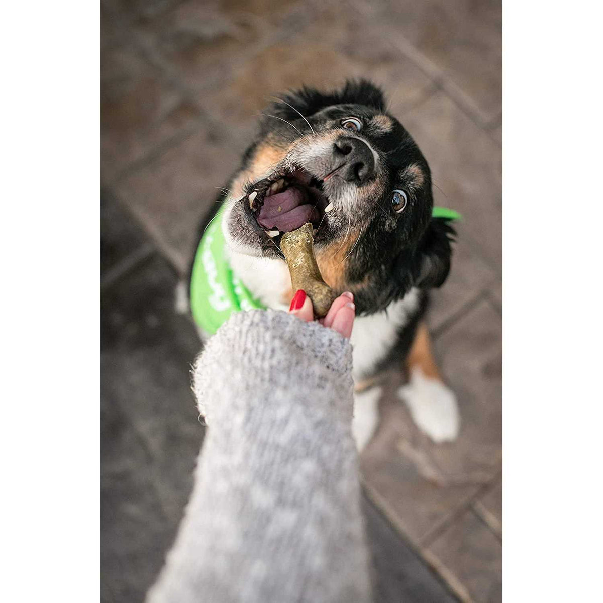 Vegan Dog Treats Q4711