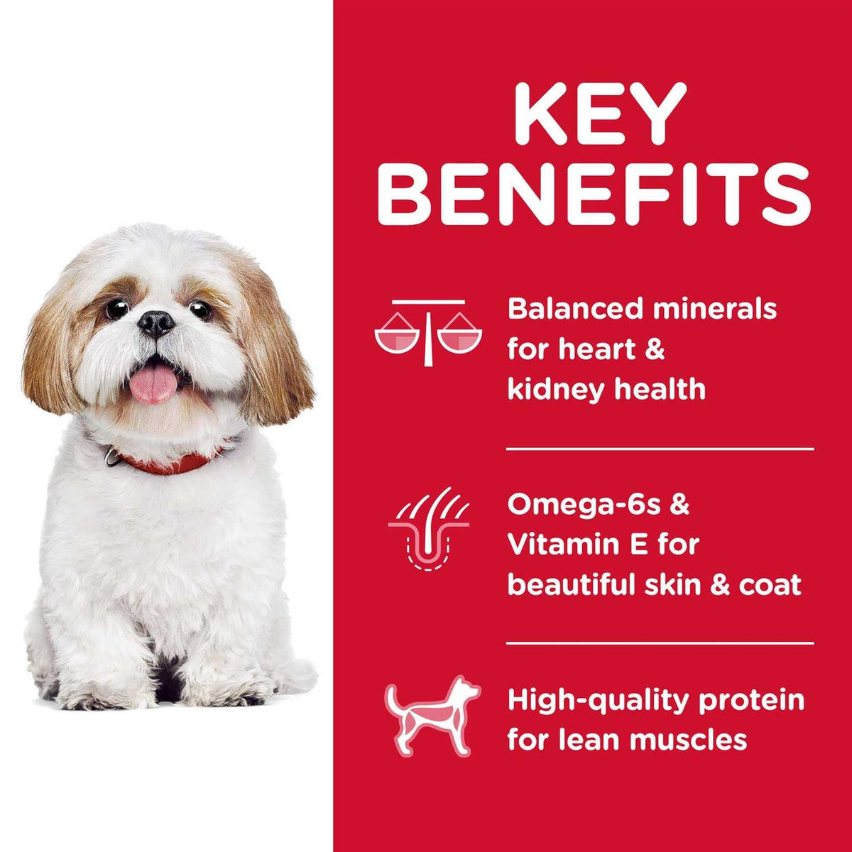 Adult 7+ Small Bites Chicken Meal Dry Dog Food L55403