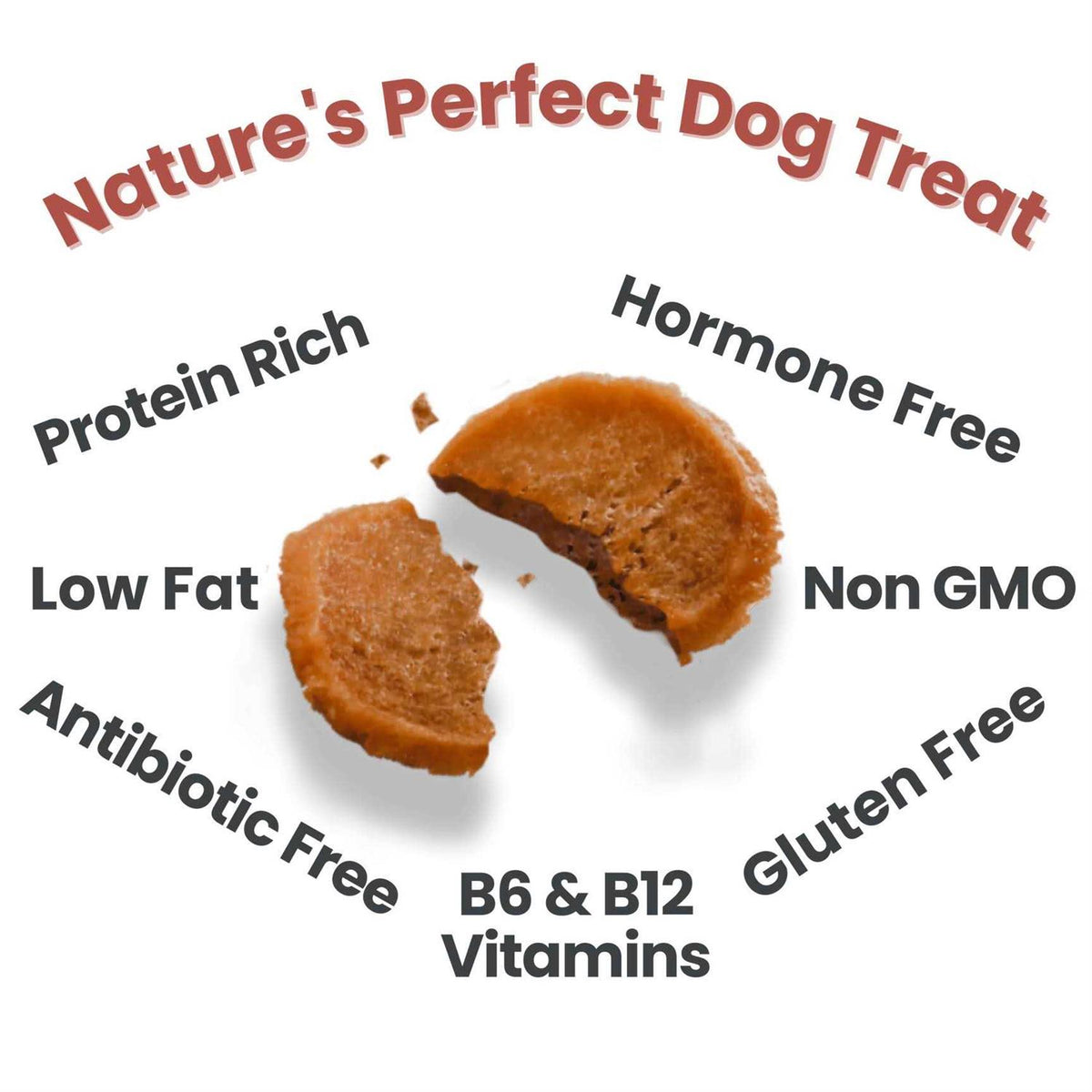 Chicken Chips Dog Treats Z75880