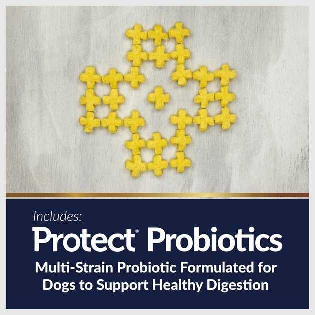 Digestive Care + Weight Management Dog Treats 20 oz T7921