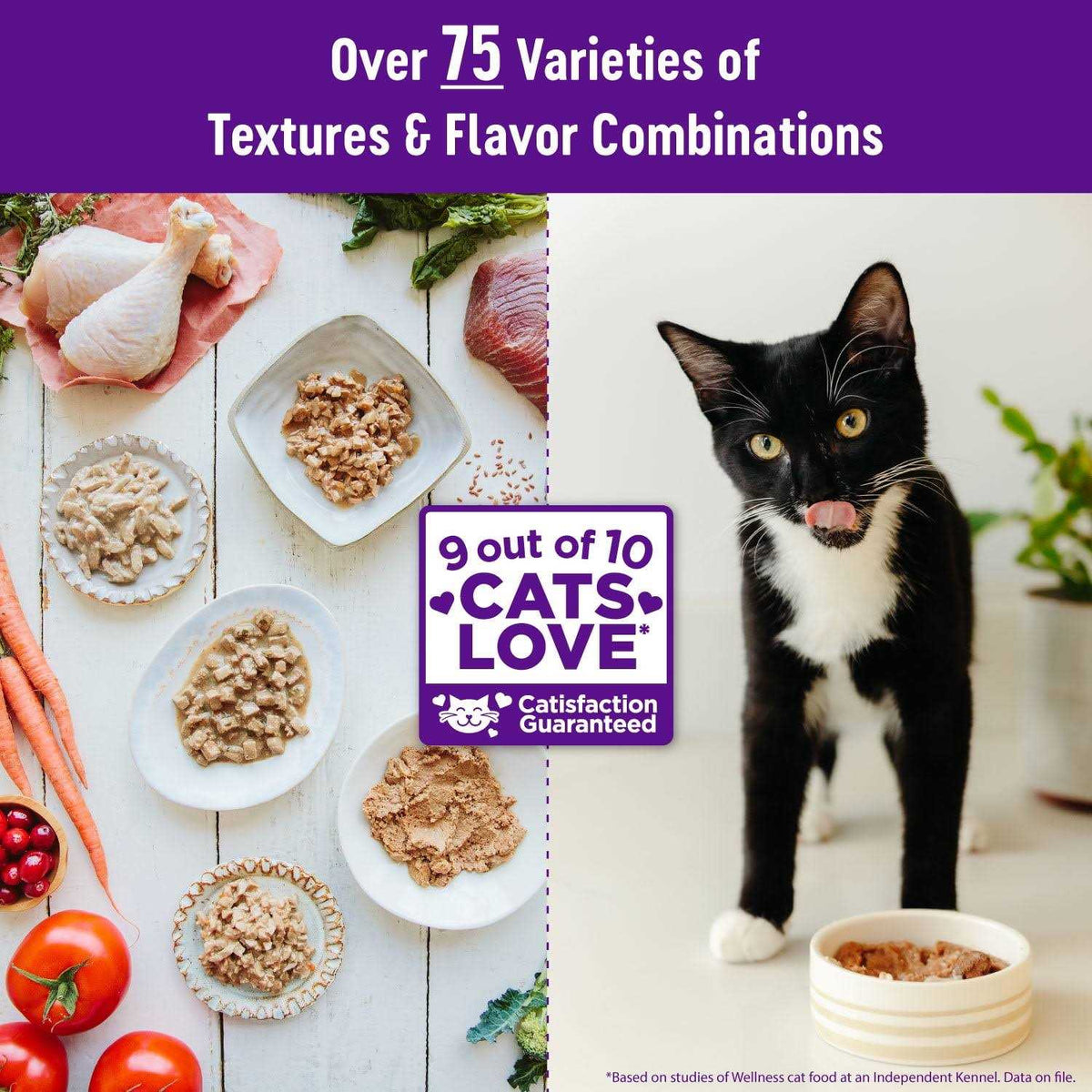 Grain Free Wet Cat Food H195206