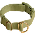 Standard Dog Collar A57000