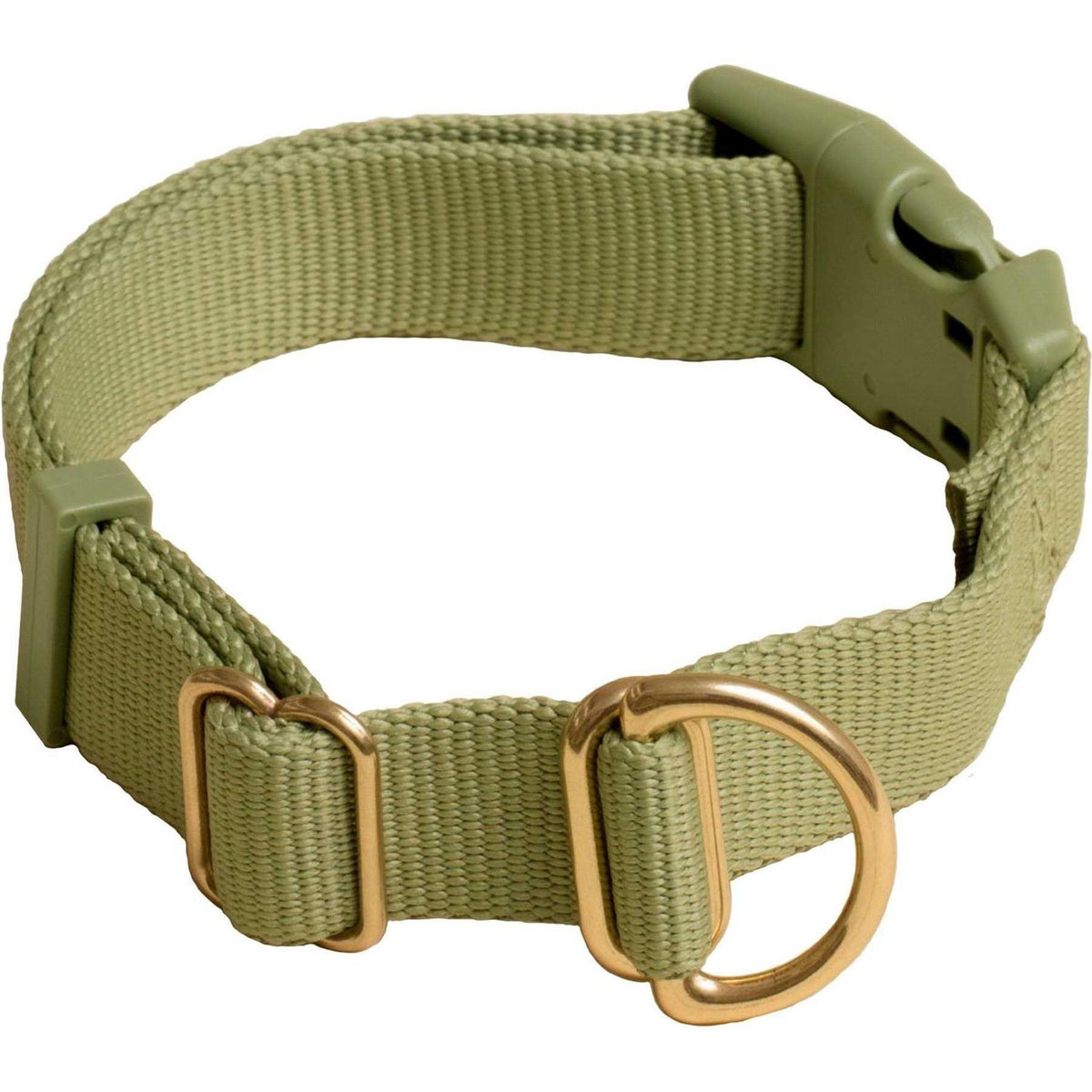 Standard Dog Collar A57000