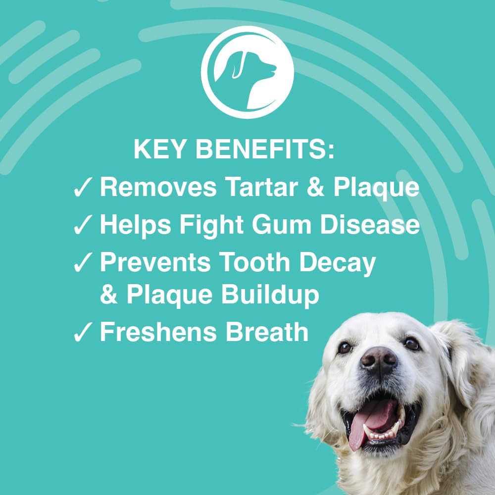 Dental Gel Z494