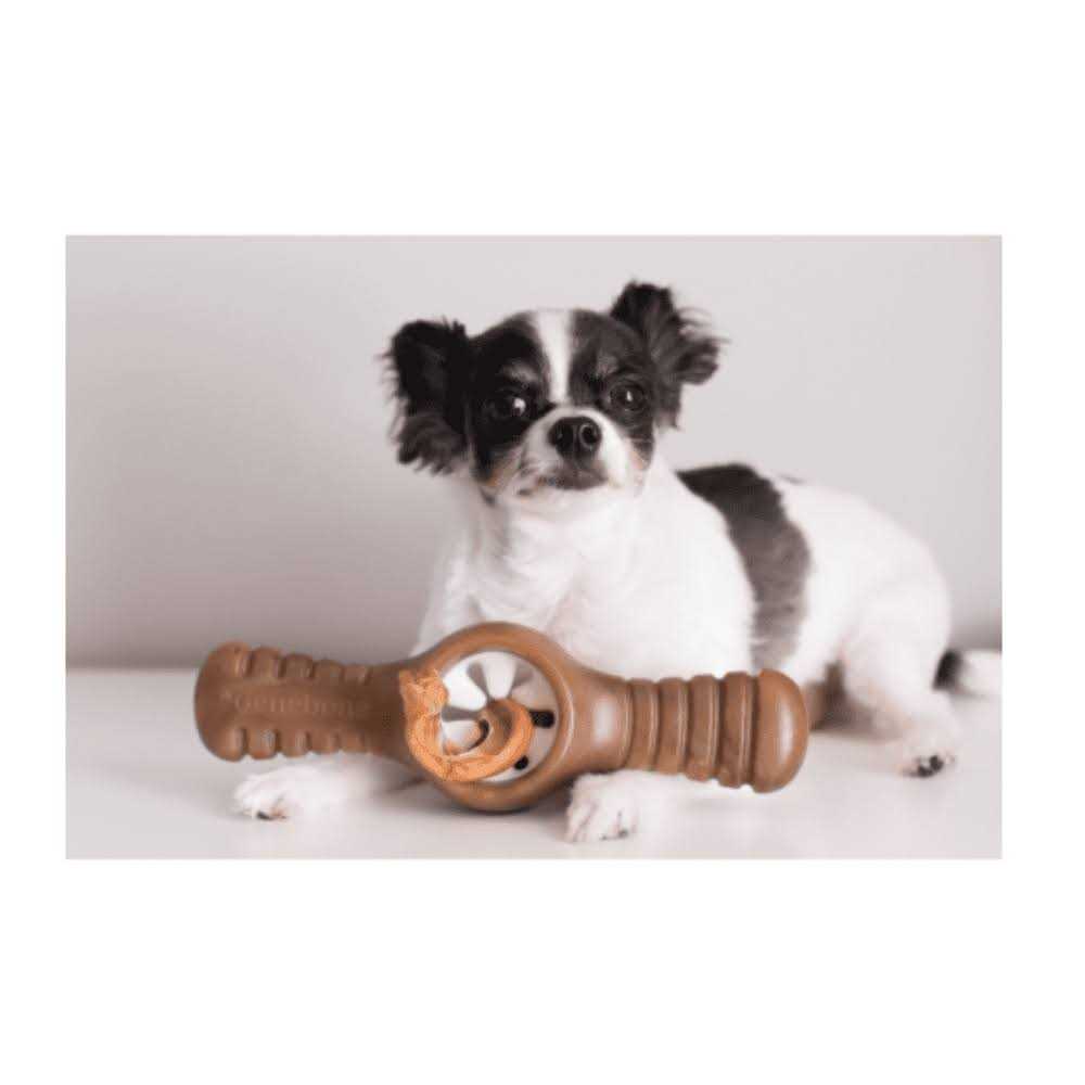 Bacon Dog Chew Toy K83112