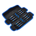 Precision Screwdriver Set, 12-Piece V96370