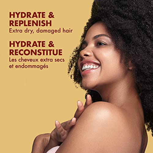 Sulfate Free Shampoo and Conditioner Set 13 Fl Oz X777