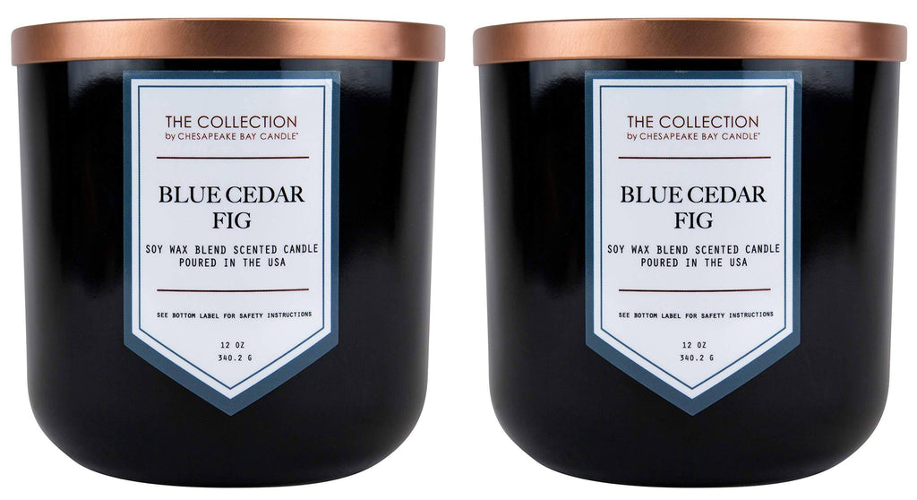 Two-Wick Scented Candle, Blue Cedar Fig, 2 Count M7096