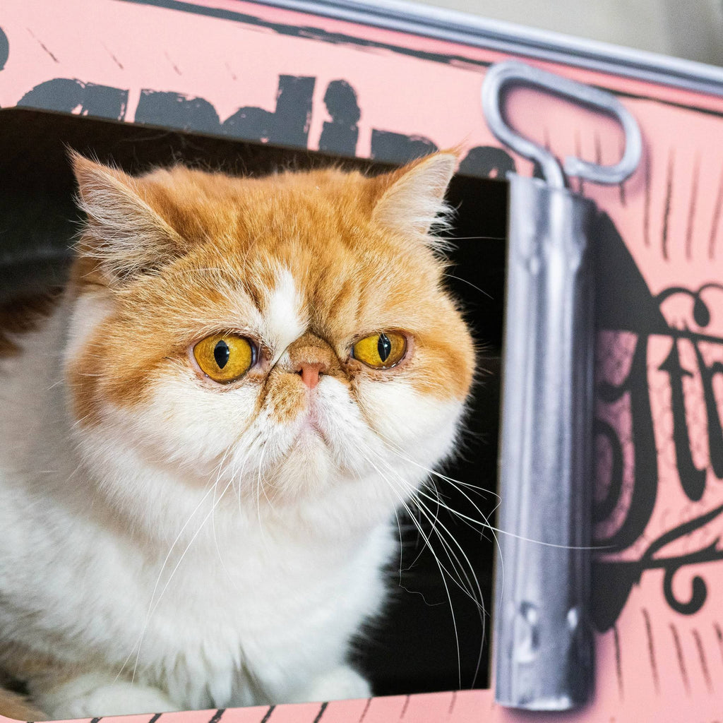 Cardboard Cat Scratcher R3094