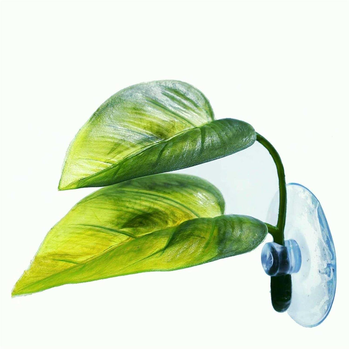 Betta Fish Leaf Pad Plastic Suction Cup L79329