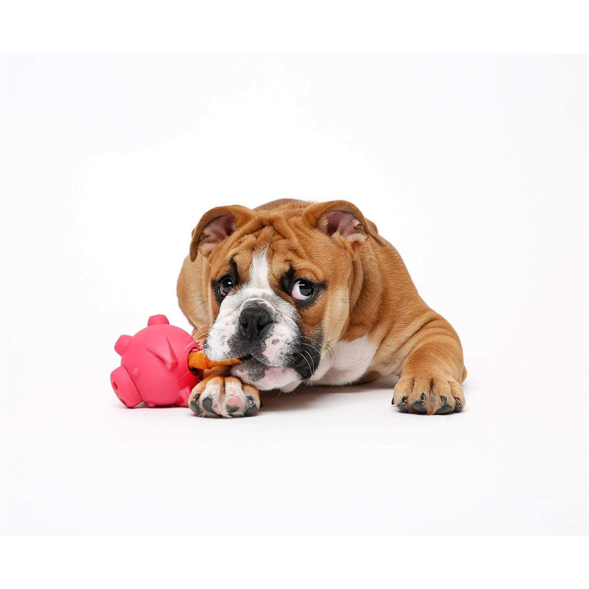 Piglet Dog Toy Z17040