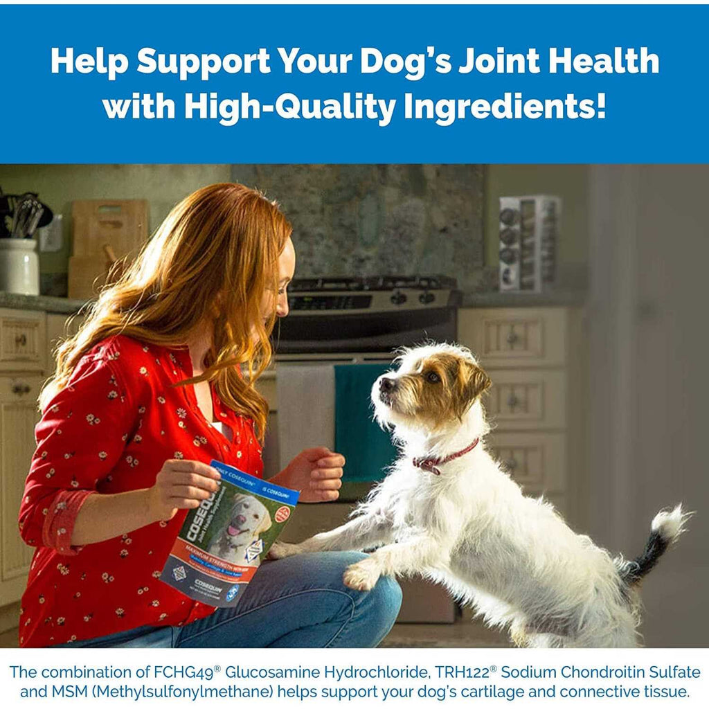 Chewable Tablets for Dogs Q872792