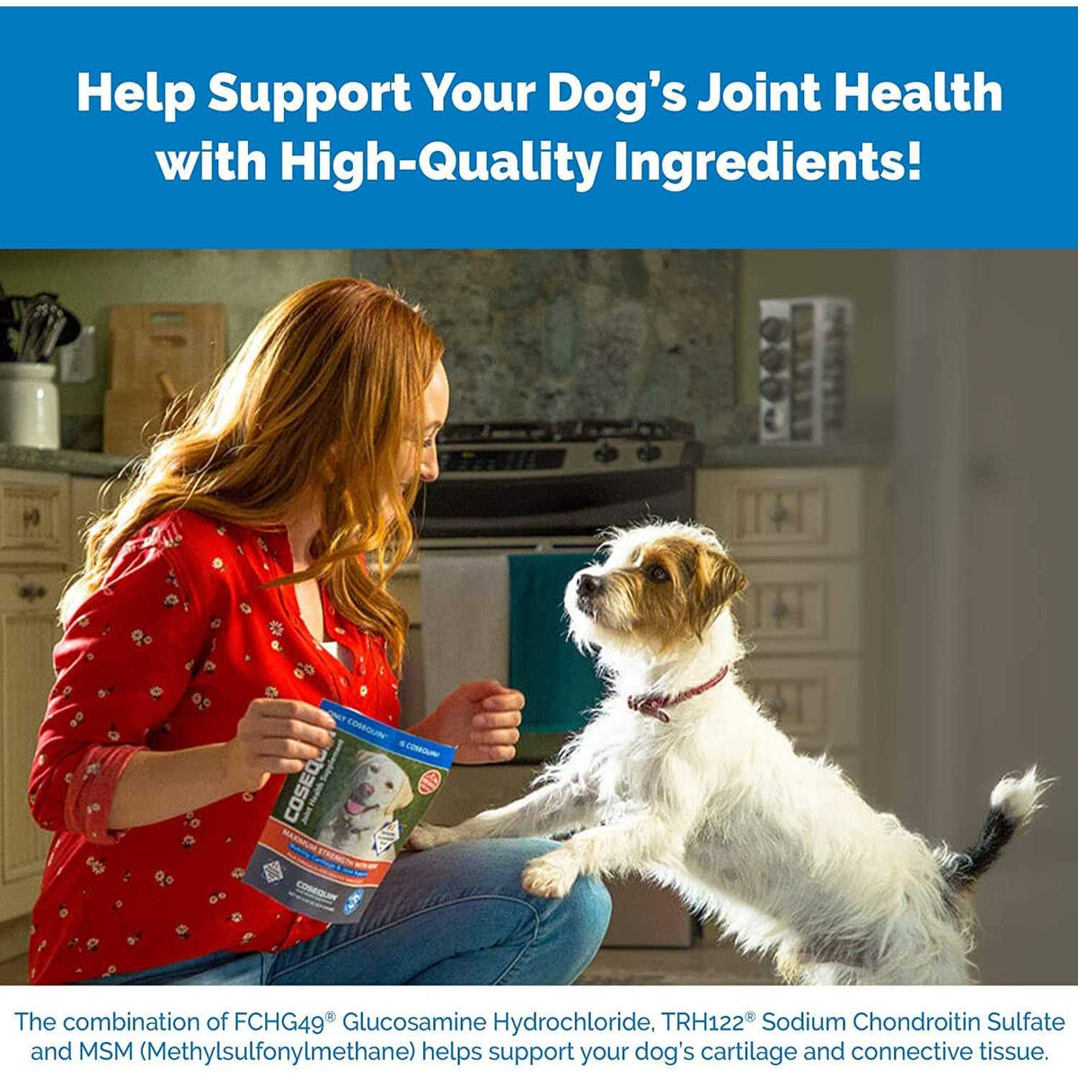 Chewable Tablets for Dogs Q872792
